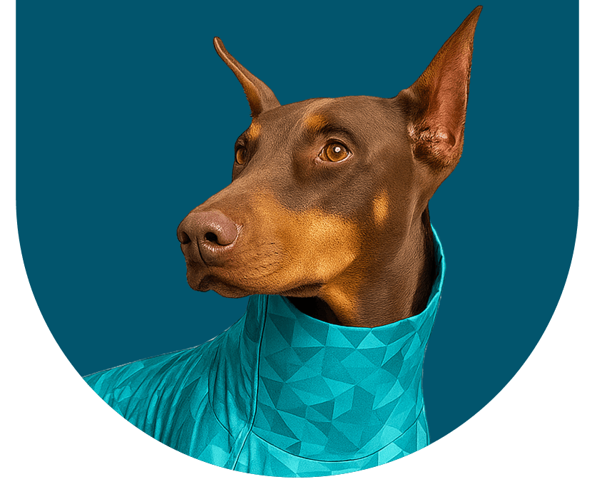 dobermann wearing pet pjs