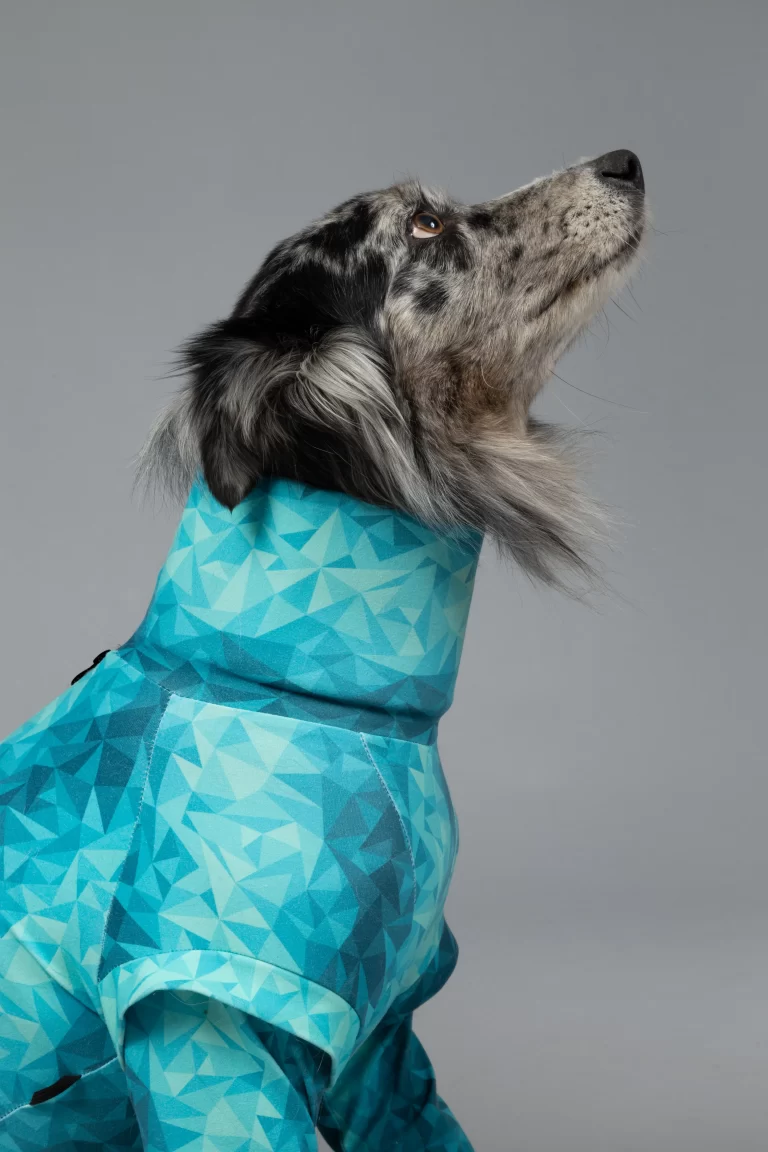 pet recovery suit