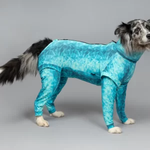 pet recovery suit