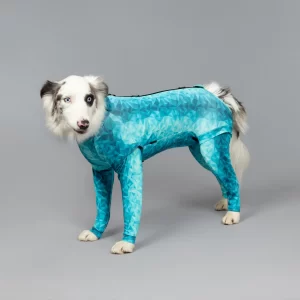 pet recovery suit