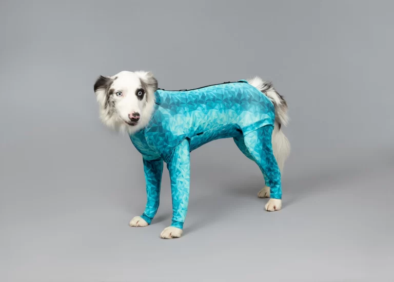 pet recovery suit