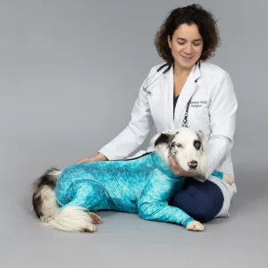 pet recovery suit