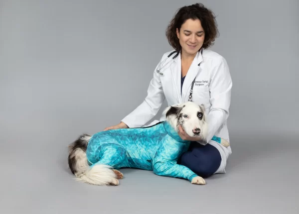 pet recovery suit