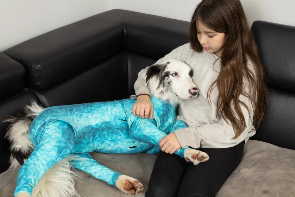 pet recovery suit
