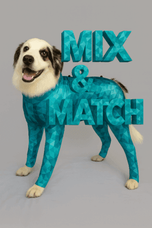 Dog wearing Pet Pjs recovery suit – mix and match veterinary recovery suit option
