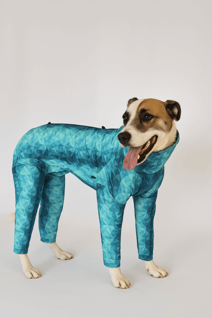 Abdominal Surgery Recovery in Pets