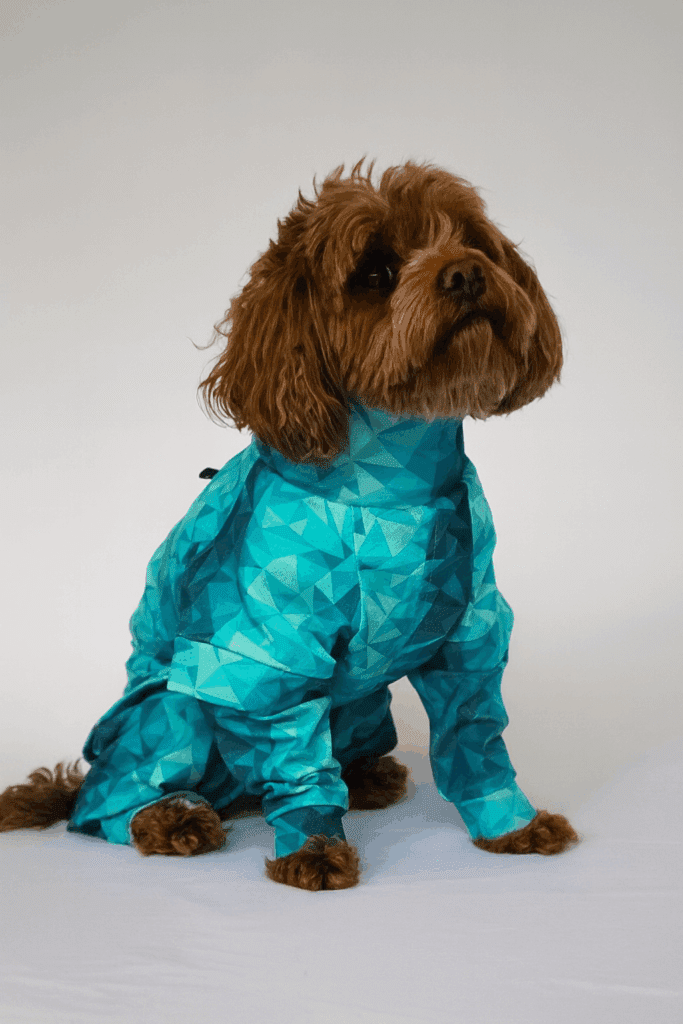 Pet Pjs Benefits – A Smarter, Safer Alternative for Recovery