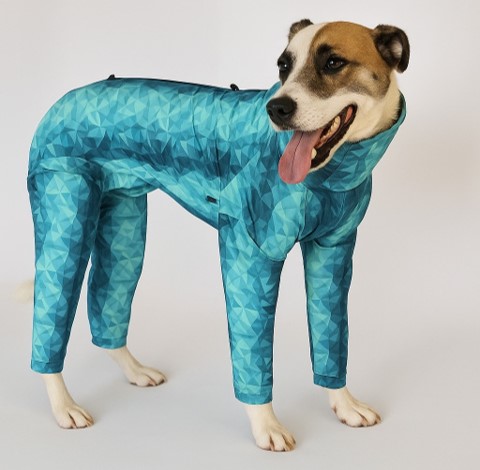 Dog wearing full-body Pet Pjs veterinary recovery suit