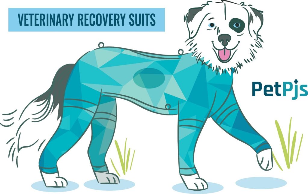 Illustration of a dog wearing a Pet Pjs veterinary recovery suit