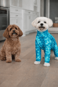 cross-contamination prevention in multi-pet homes