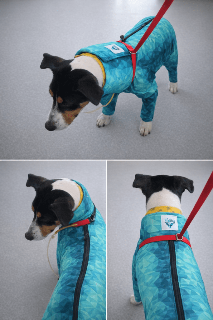 Dog Recovery Suit for Cervical Catheter and Dialysis | Pet Pjs Case Study