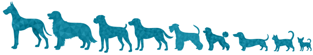 9 sizes pet pjs image blue