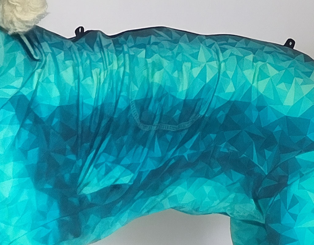 a dog is wearing a blue geometric-patterned jacket