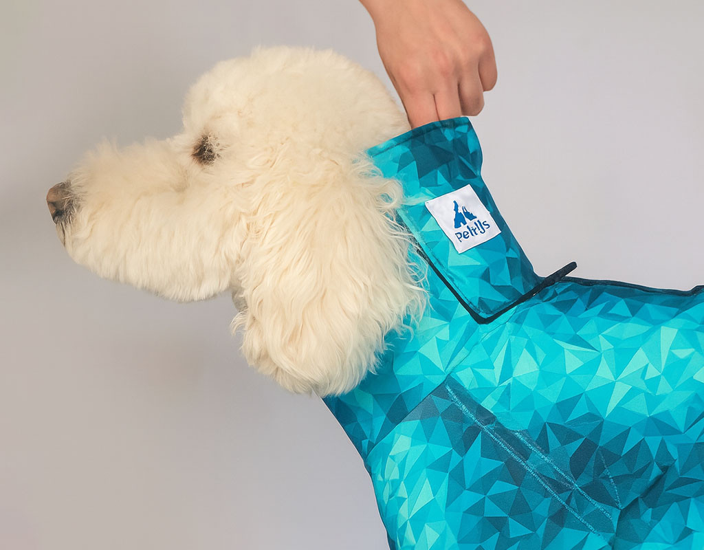 a fluffy white dog wearing a blue geometric-patterned coat is gently being adjusted by a hand