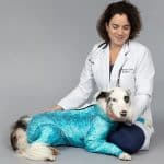 a veterinarian beside a dog wearing a pet pjs