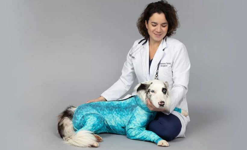 a veterinarian beside a dog wearing a pet pjs
