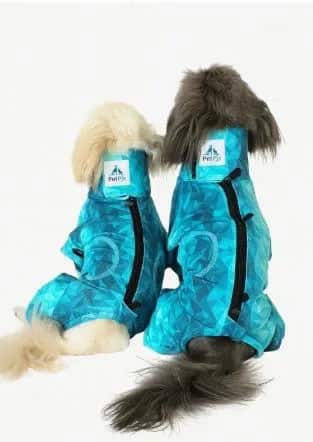 Back view of two dogs wearing pet pjs