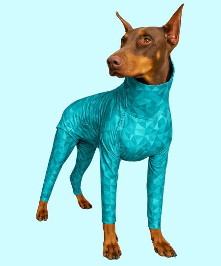 dobermann wearing pet pjs product