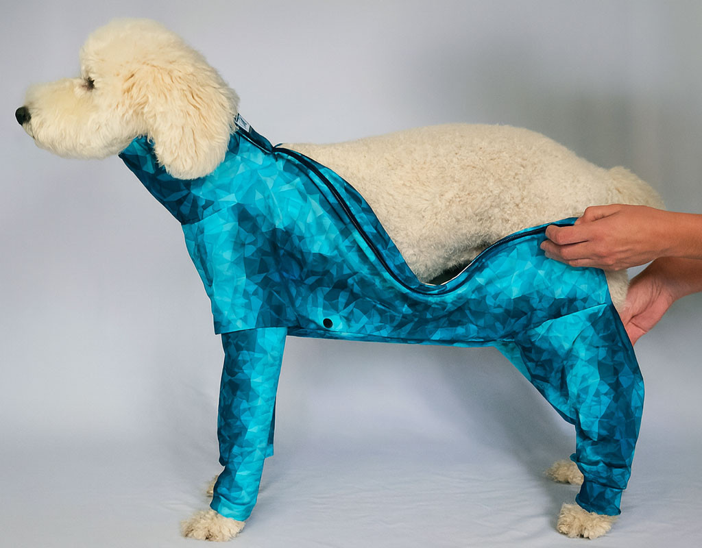 dog in a blue geometric-patterned onesie being zipped up