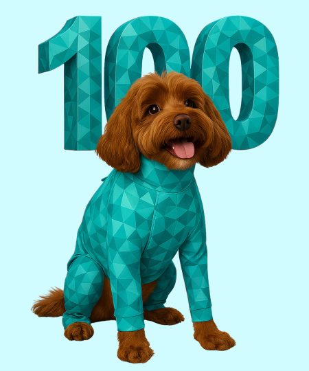 dog wearing pet pjs hospital package 100 units