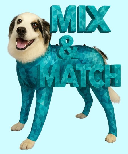 dog wearing pet pjs mix and match