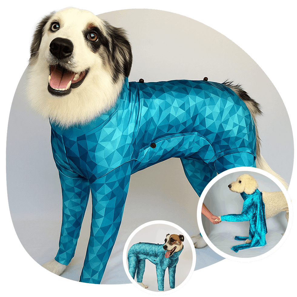 dogs wearing pet pjs