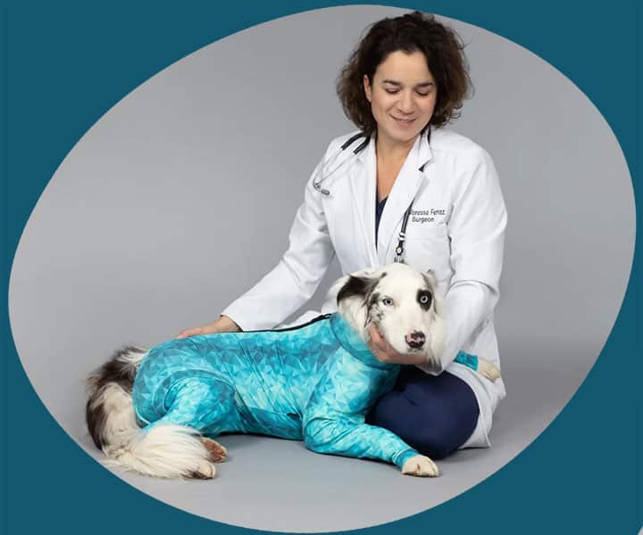 dr vanessa with dog wearing pet pjs