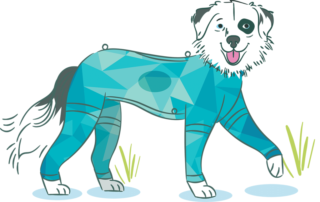 illustration of a dog wearing a geometric-patterned blue veterinary recovery suit