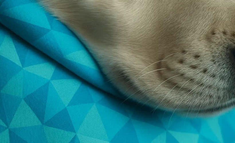 pet pjs breathable fabrics
