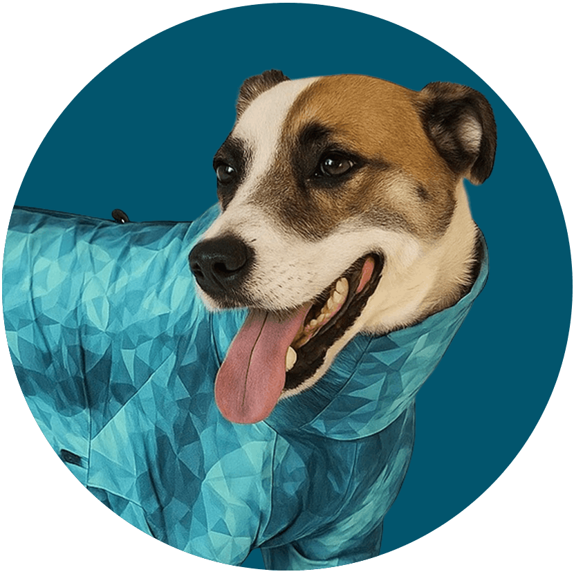 side dog with pet pjs circle