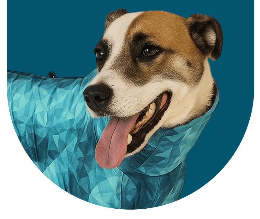 side dog with pet pjs