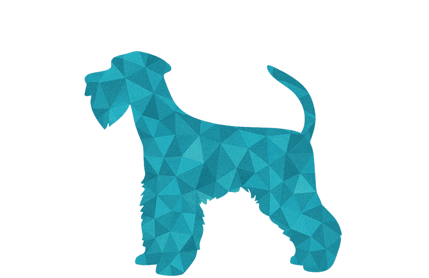 silhouette of a medium schnauzer in blue polygonal pattern