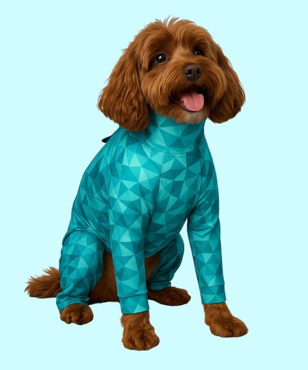 small dog wearing pet pjs