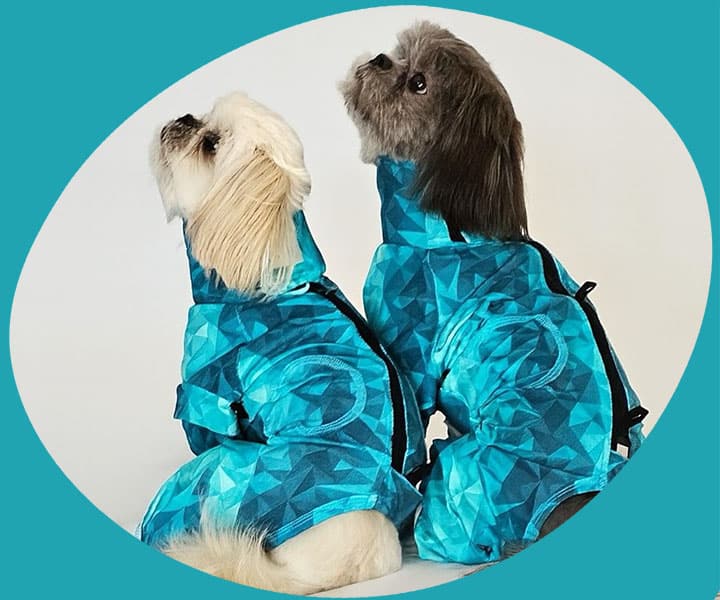 two dogs back wearing pet pjs