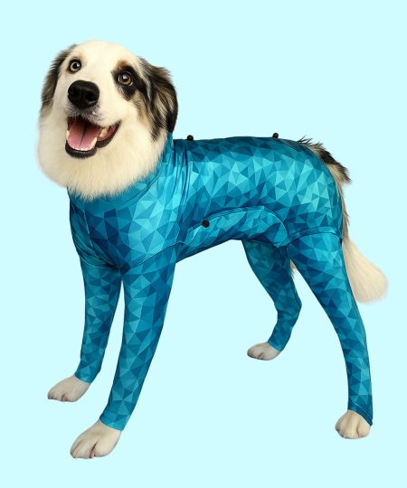 white dog wearing pet pjs