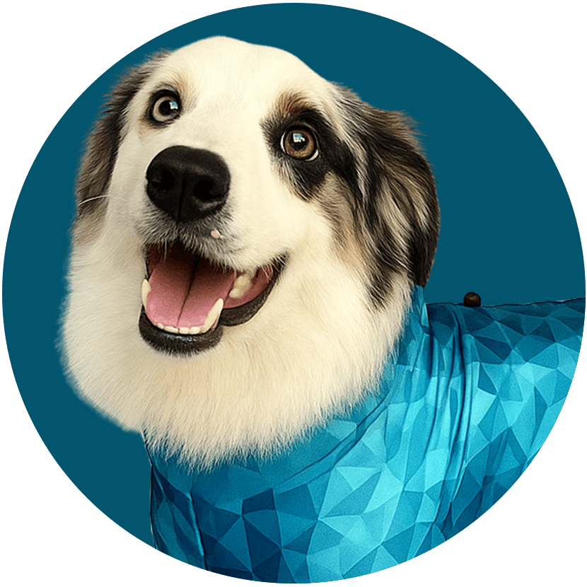 white dog with pet pjs circle