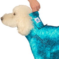 Checking neck fit of a dog recovery suit using the two-finger rule