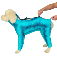 Closing the zipper on a dog recovery suit to secure the garment