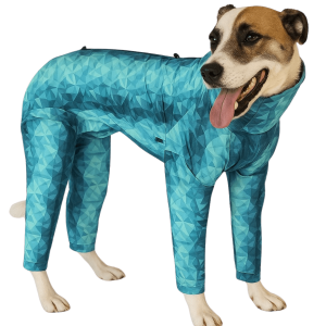 Dog wearing a veterinary recovery suit as a comfortable alternative to a surgical cone